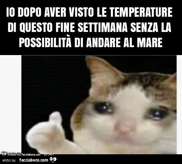 Io dopo aver visto le temperature di questo fine settimana senza la possibilità di andare al mare