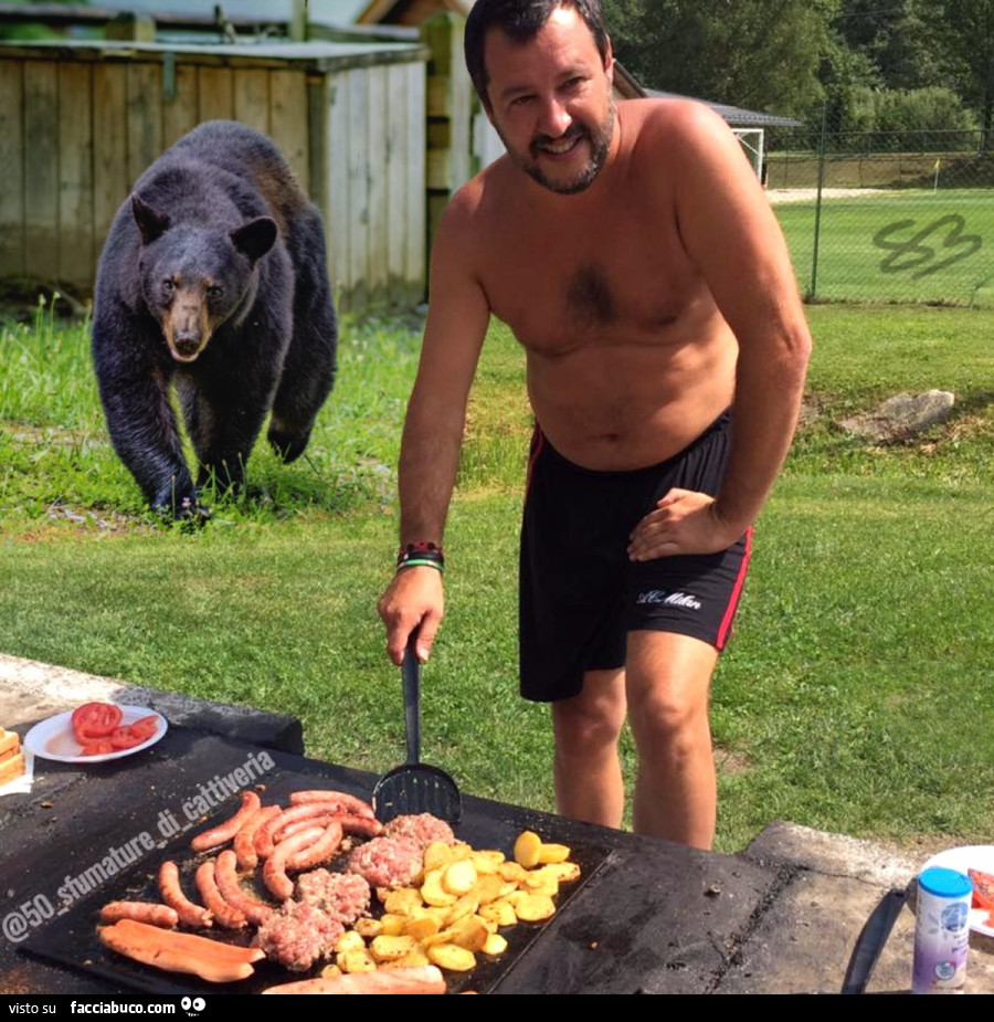 Salvini orso grigliata