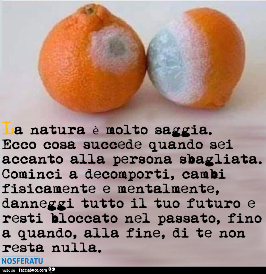 La natura è molto saggia
