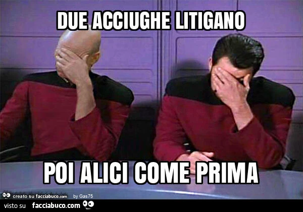 Due acciughe litigano poi alici come prima