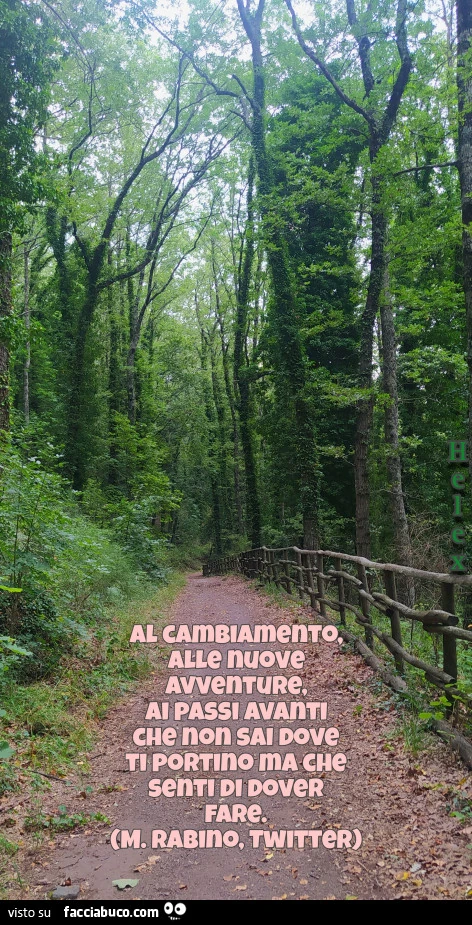 Cambiamenti e nuove avventure