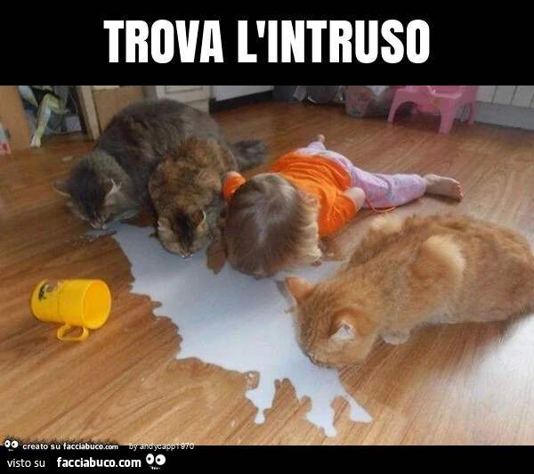 Trova l'intruso