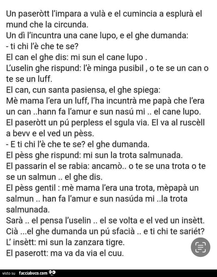 Un paseròtt l'impara a vulà e el cumincia a esplurà el mund che la circunda. Un dì l'incuntra una cane lupo, e el ghe dumanda: ti chi l'è che te se?