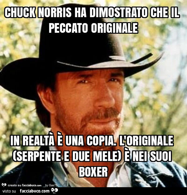 Chuck norris ha dimostrato che il peccato originale in realtà è una copia. L'originale (serpente e due mele) è nei suoi boxer