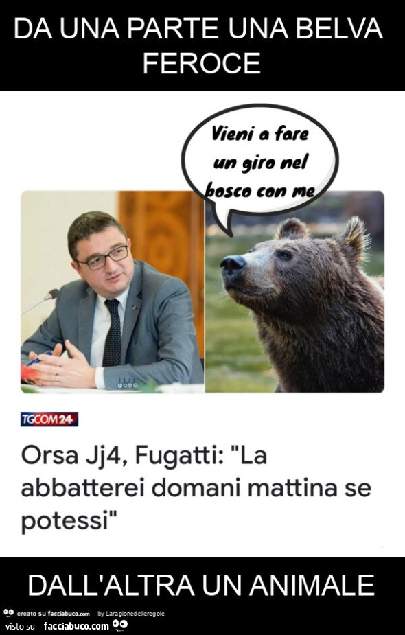 Da una parte una belva feroce dall'altra un animale