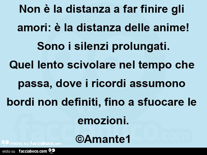 Non è la distanza a far finire gli amori: è la distanza delle anime! Sono i silenzi prolungati. Quel lento scivolare nel tempo che passa, dove i ricordi assumono bordi non definiti, fino a sfuocare le emozioni. ©Amante1