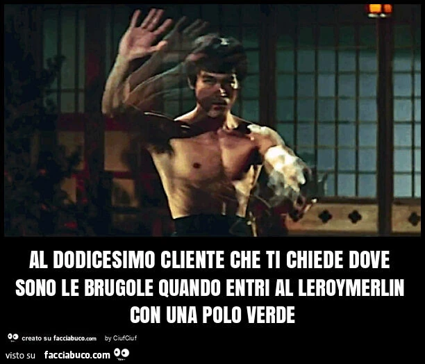 Al dodicesimo cliente che ti chiede dove sono le brugole quando entri al leroymerlin con una polo verde