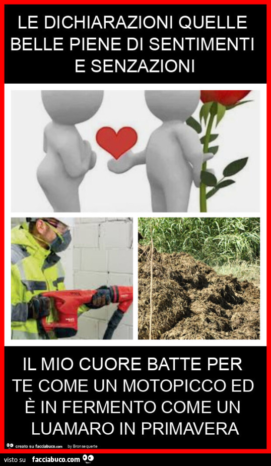 Le dichiarazioni quelle belle piene di sentimenti e senzazioni il mio cuore batte per te come un motopicco ed è in fermento come un luamaro in primavera