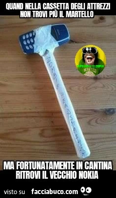 Quando nella cassetta degli attrezzi non trovi più il martello ma fortunatamente in cantina