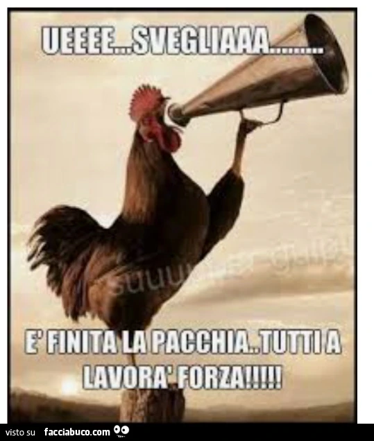 Vaccata