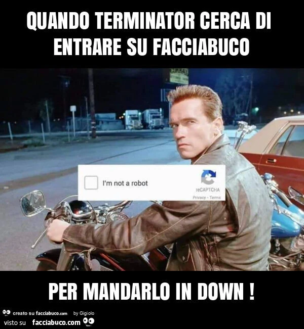 Quando terminator cerca di entrare su facciabuco per mandarlo in down