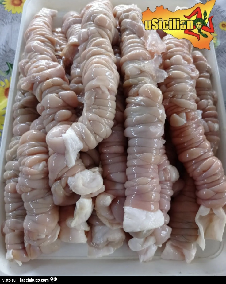 Vaccata