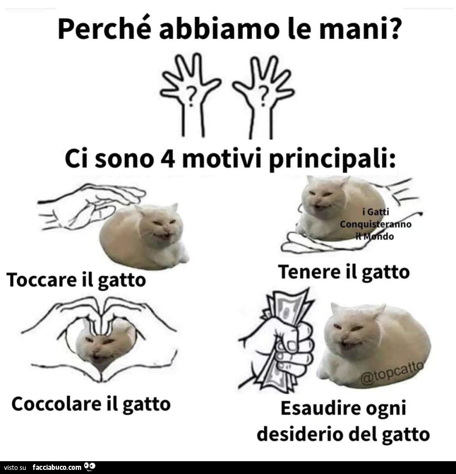 Perché abbiamo le mani? Ci sono 4 motivi principali: toccare il gatto coccolare il gatto tenere il gatto esaudire ogni desiderio del gatto