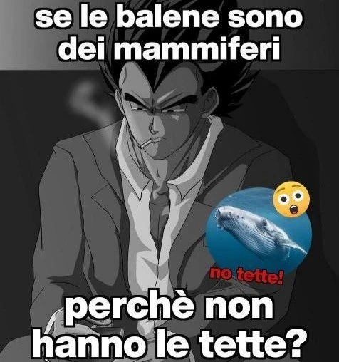 Le tette delle balene