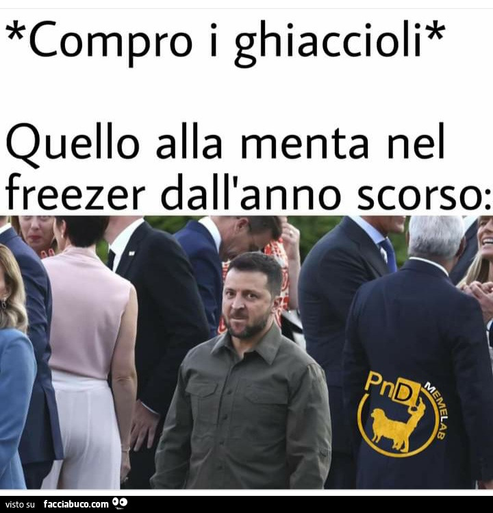 Compro i ghiaccioli quello alla menta nel freezer dall'anno scorso