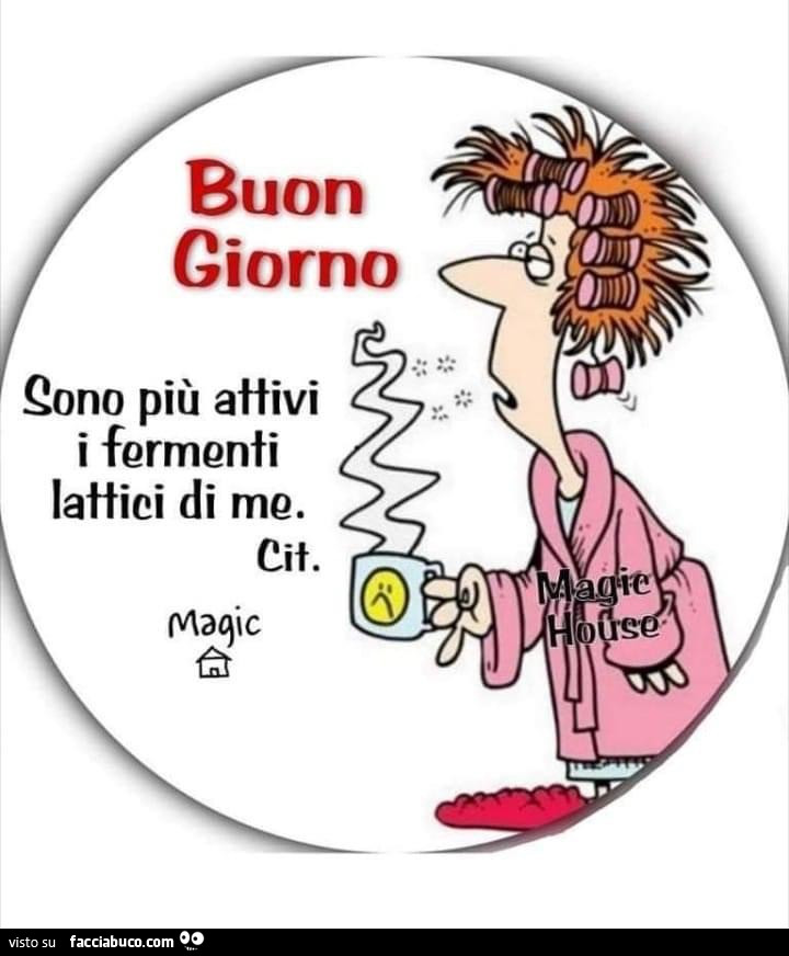 Buon giorno. Sono più attivi i fermenti lattici di me