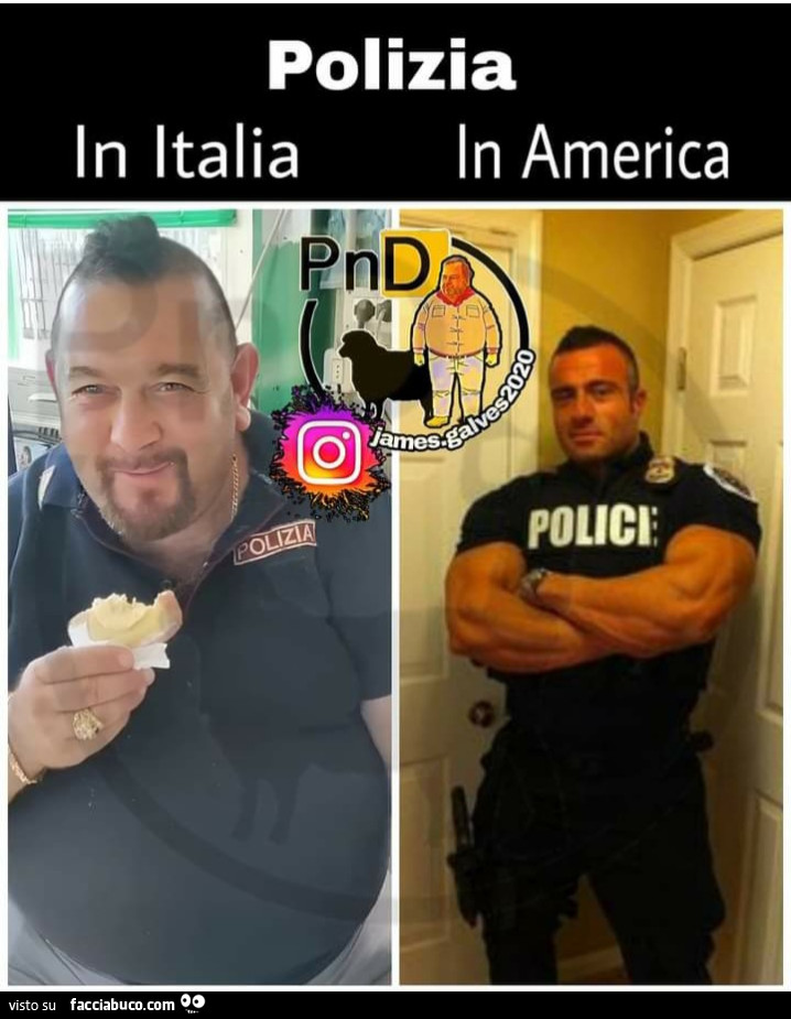 Polizia in italia in America
