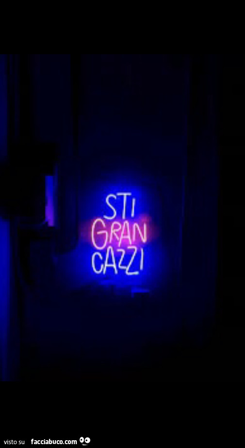 Sti gran cazzi al neon