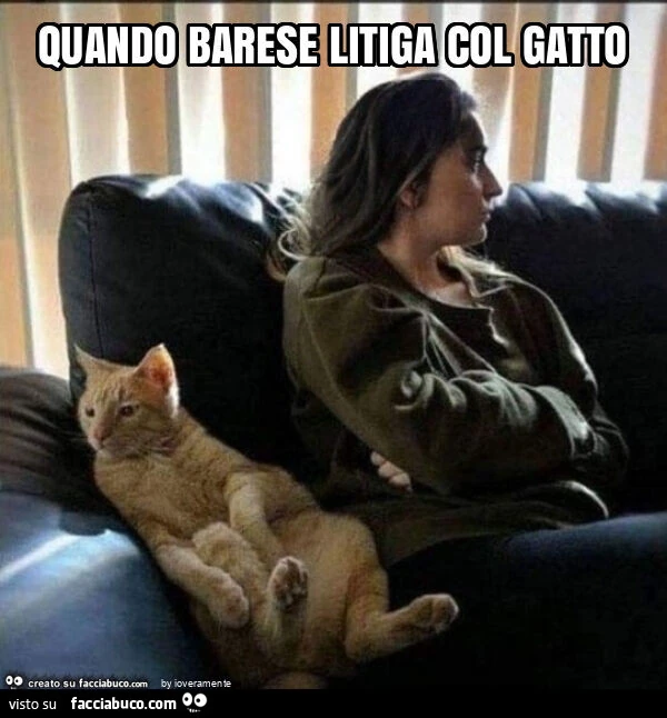 Quando barese litiga col gatto