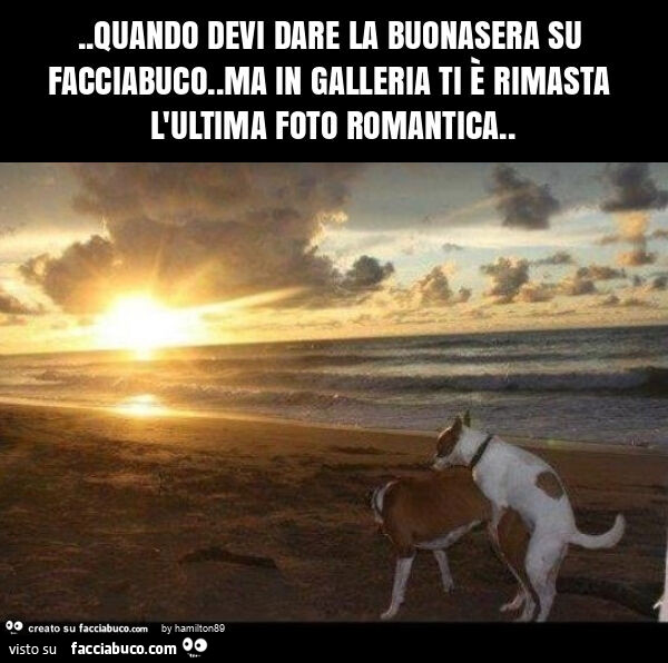 Quando devi dare la buonasera su facciabuco. Ma in galleria ti è rimasta l'ultima foto romantica