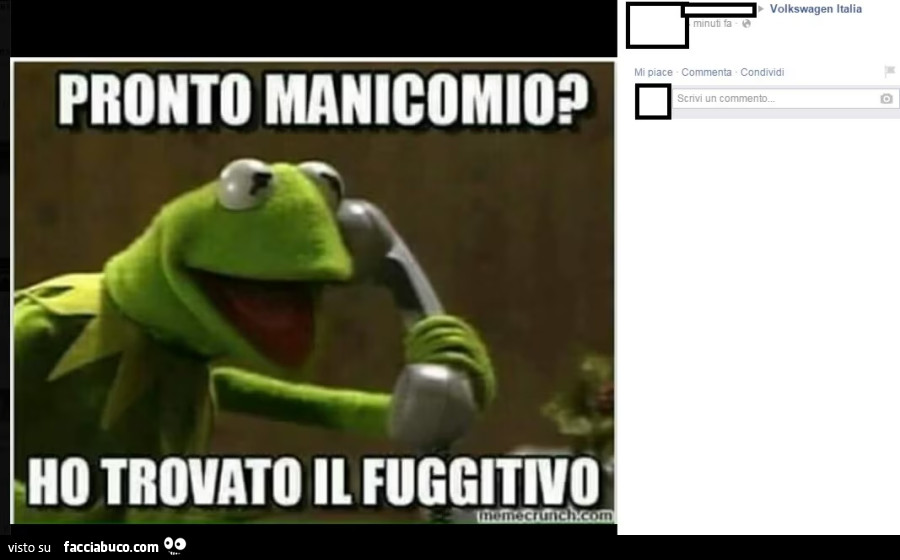 Vaccata