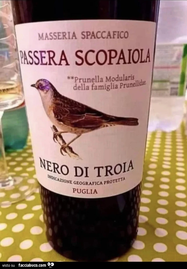 Vaccata