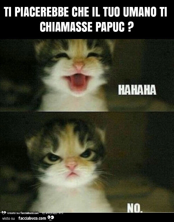 Ti piacerebbe che il tuo umano ti chiamasse papuc?