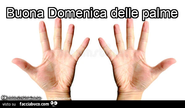 Buona domenica delle palme