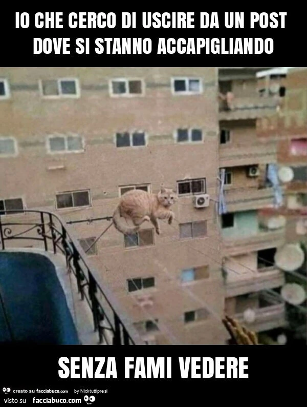 Io che cerco di uscire da un post dove si stanno accapigliando senza fami vedere