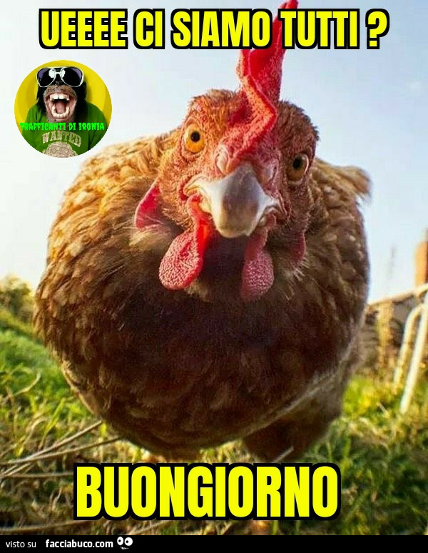 Ueeeee ci siamo tutti Buongiorno