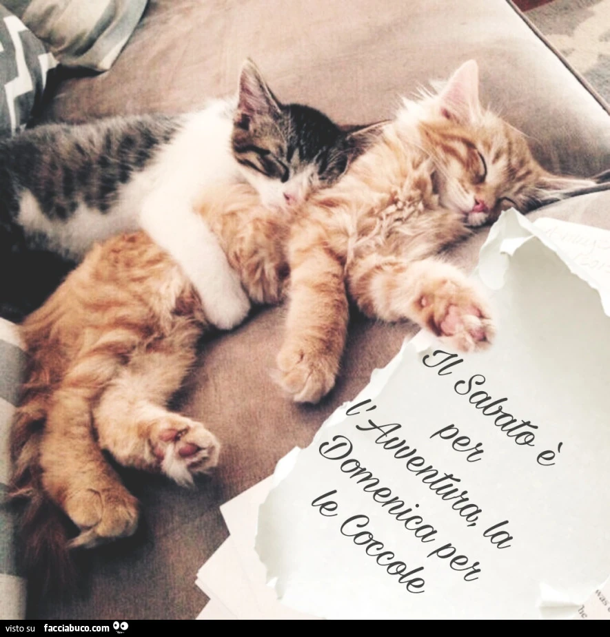Il Sabato e la Domenica