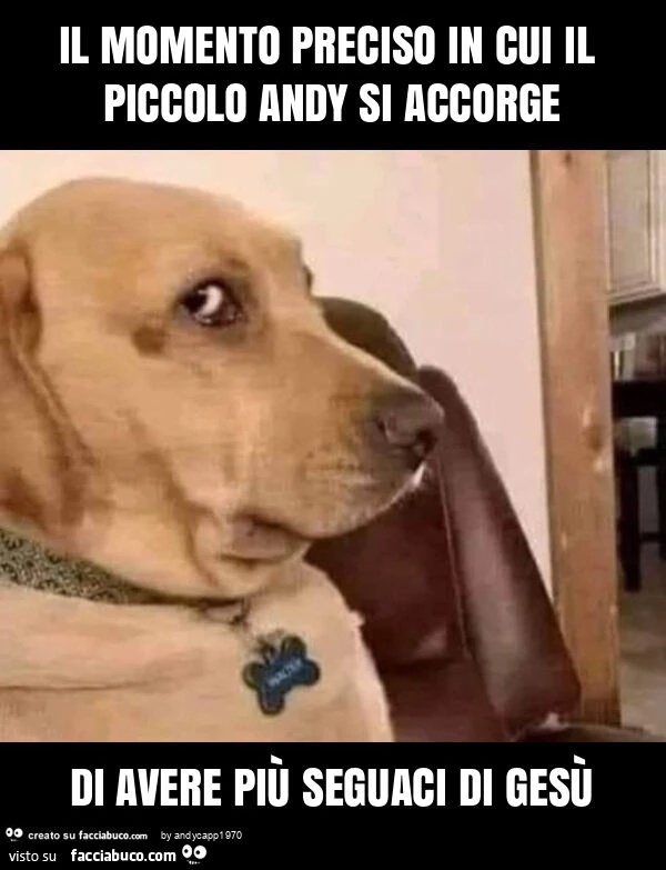 Il momento preciso in cui il piccolo andy si accorge di avere più seguaci di gesù