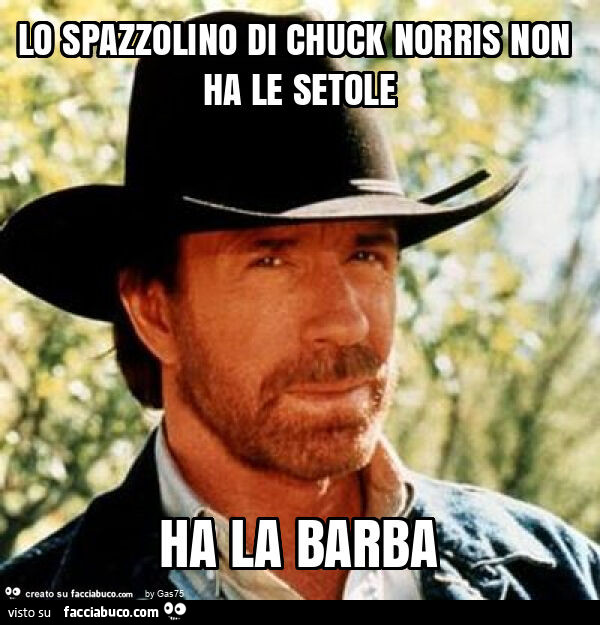 chuck norris barba meme