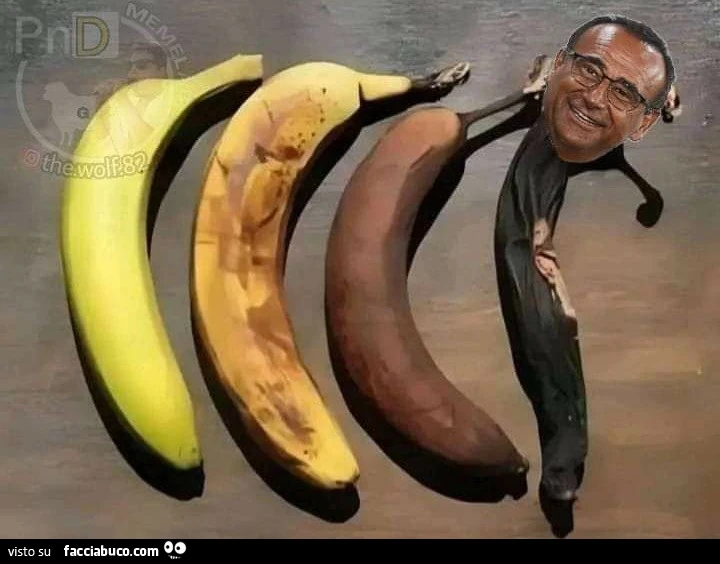 Banane conti