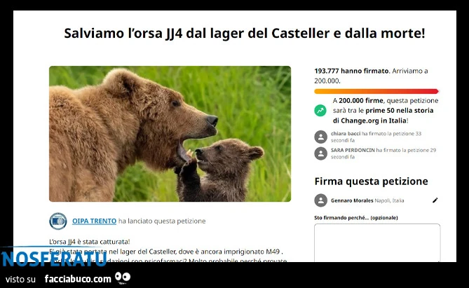 Salviamo l'orsa JJ4 dal lager del Casteller e dalla morte