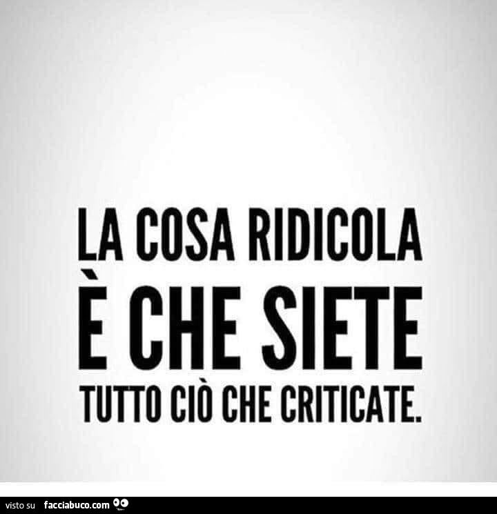 La cosa ridicola è che siete tutto ciò che criticate