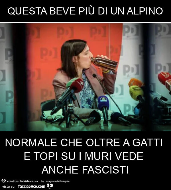 Questa beve più di un alpino normale che oltre a gatti e topi su i muri vede anche fascisti