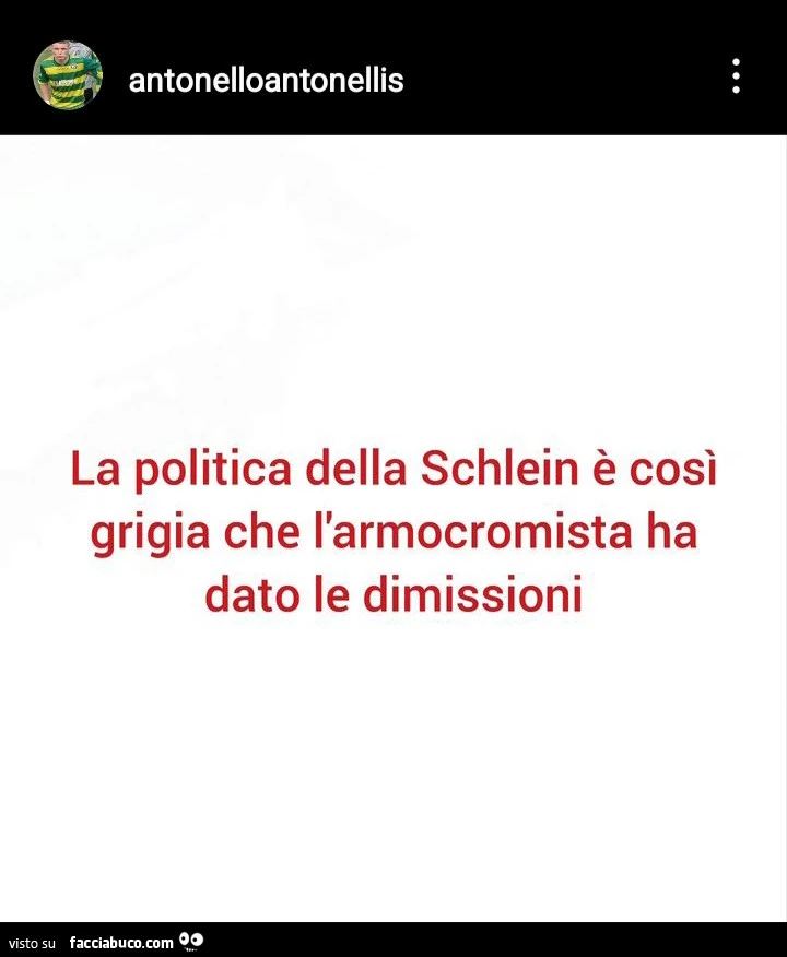 La politica della schlein è così grigia che l'armocromista ha dato le dimissioni