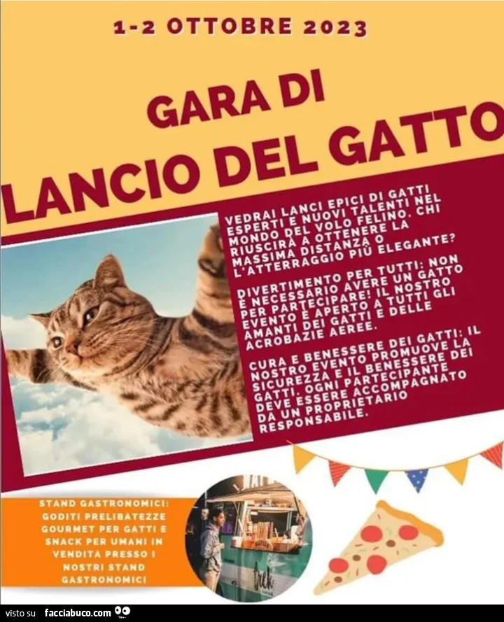 Gara di lancio del gatto