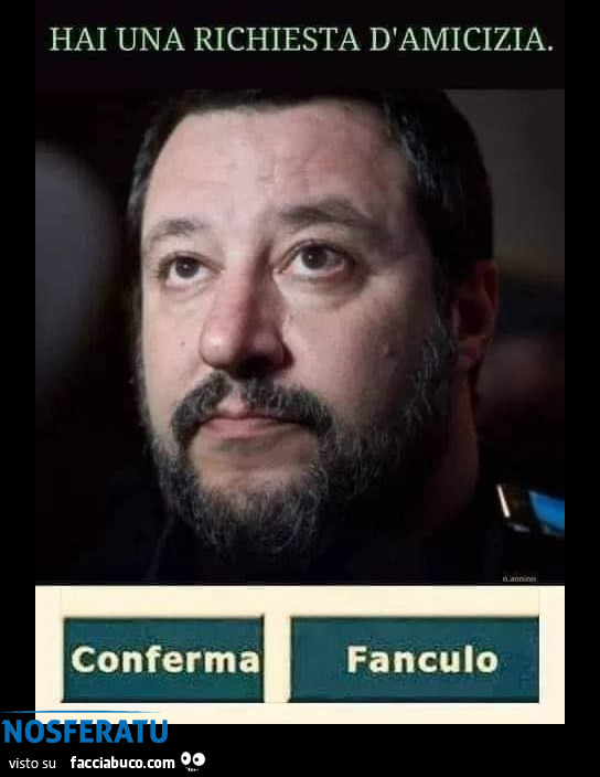 Con Salvini o contro?