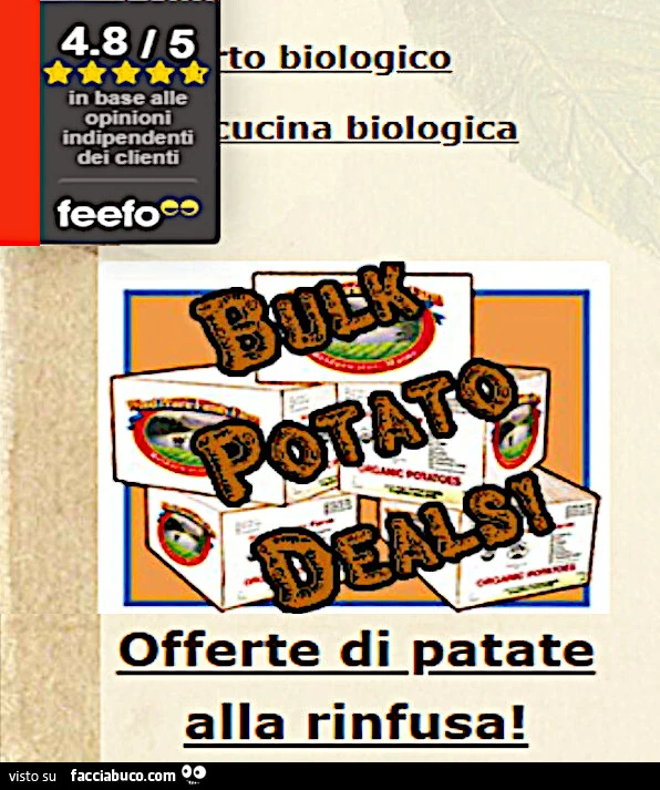 Vaccata