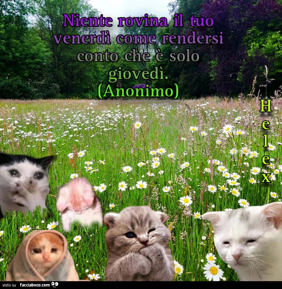Niente rovina il tuo venerdì