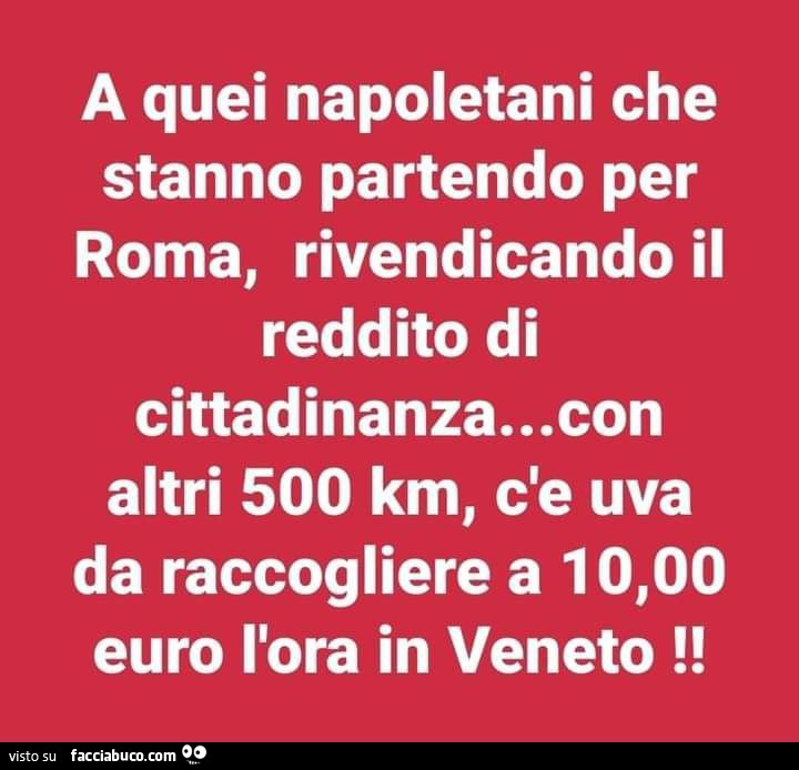 A quei napoletani che stanno partendo per roma, rivendicando il reddito di cittadinanza… con altri 500 km, c'e uva da raccogliere a 10 euro l'ora in veneto