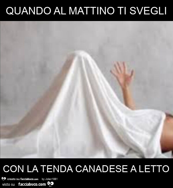Quando al mattino ti svegli con la tenda canadese a letto