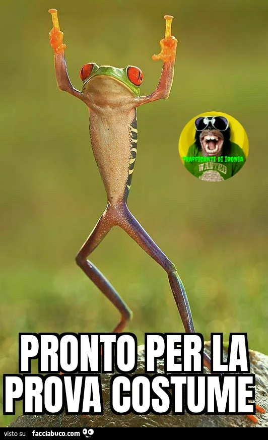 Pronto per la prova costume