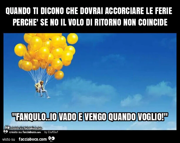 Quando ti dicono che dovrai accorciare le ferie perchè se no il volo di ritorno non coincide