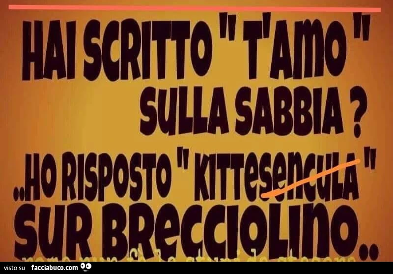 Hai scritto t'amo sulla sabbia? Ho risposto kittesencula sur brecciolino
