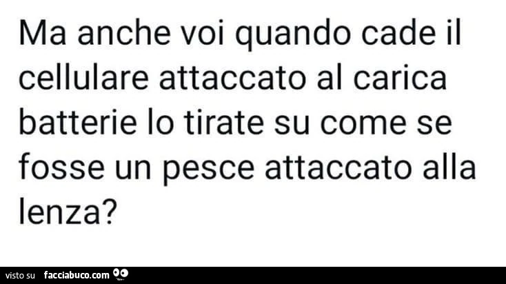 Ma anche voi quando cade il cellulare attaccato al carica batterie lo tirate su come se fosse un pesce attaccato alla lenza?
