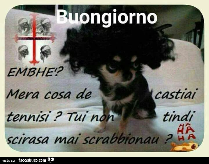 Buongiorno
