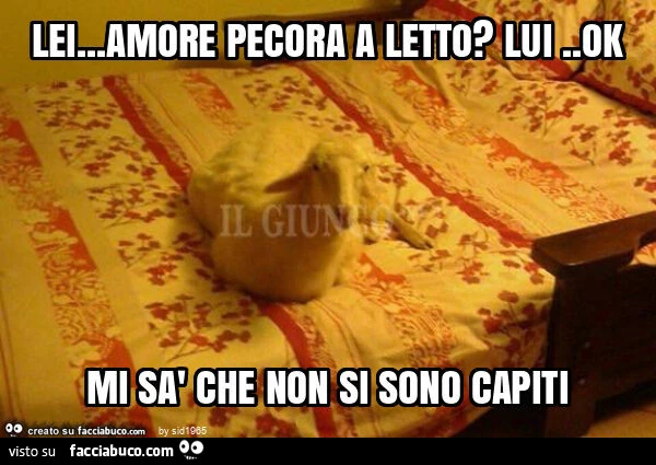 Lei&hellip; amore pecora a letto? Lui. Ok mi sà che non si sono capiti